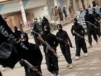 Боевики 'Исламского государства' планируют использовать бубонную чуму как оружие