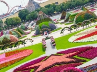 Недавно там открыли самый большой в мире парк цветов. Разбившиеся самолеты