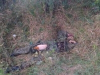 Украинские силовики уничтожили полсотни террористов возле Еленовки