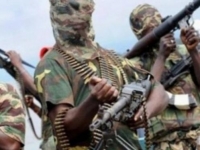 Отрицающая христианские ценности группировка 'Боко харам' добивается создания исламского халифата на севере страны, населенном преимущес