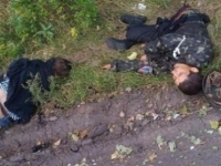 «Шахтерск» и «Днепр-1» разгромили около 50 террористов возле Оленевки